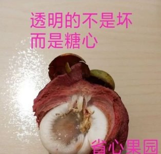 ​山竹外面的黄粉末的是什么,山竹外面的黄浆是什么东西