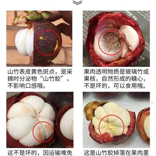 山竹外面黄黄的是什么东西