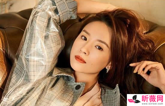 董洁演过的电视剧及电影全部介绍 董洁2021年新剧有哪些