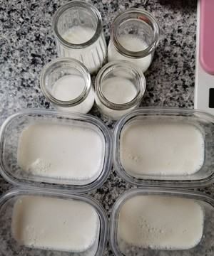 白凉粉放少了怎么办,白凉粉凝固后太稀了怎么办图4