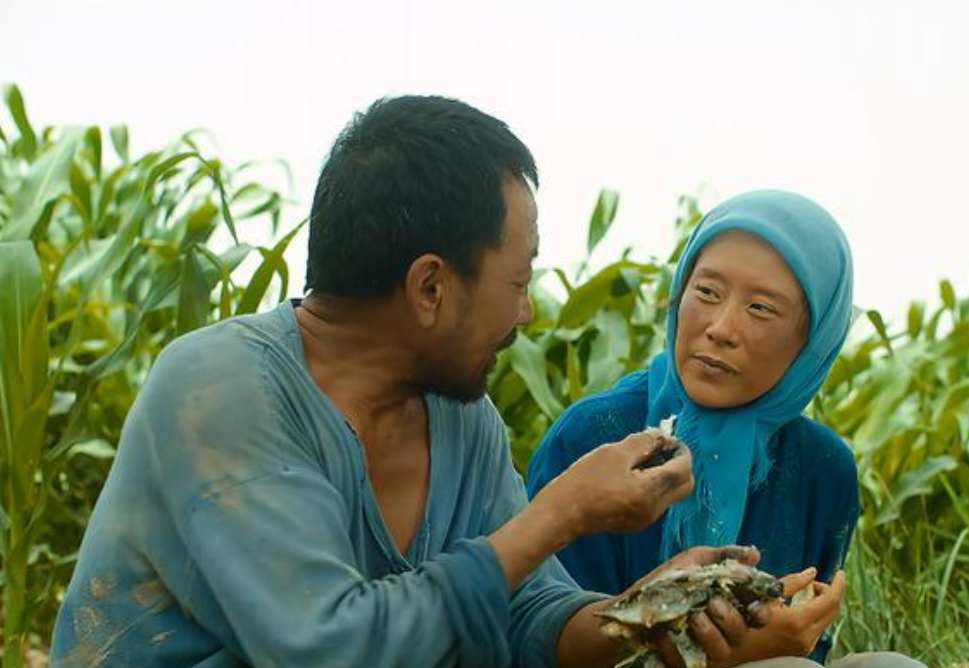 给2022年“演技最好”的10位女演员排名,殷桃第二,万茜第十