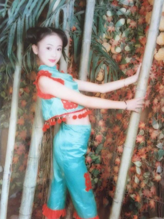 童瑶个人资料简介及家世(挨打只会变得更强,18年后的童谣,已是张国立儿子高攀不起的人)
