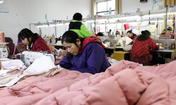 灰鸭绒和白鹅绒的区别,灰鸭绒和白鸭绒的区别在哪里图5