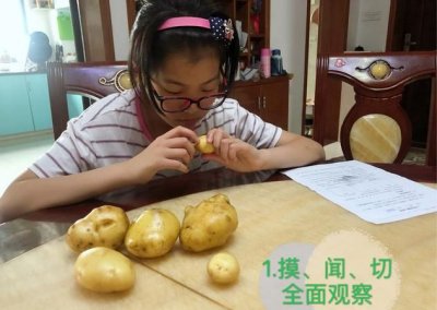 ​土豆的检验方法是什么，土豆的检验方法是什么？