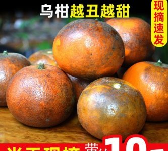 ​乌柑和沃柑什么区别,沃柑和乌柑哪个好吃