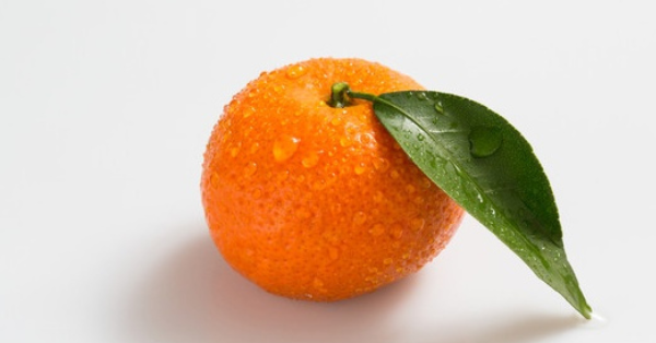 乌柑和沃柑什么区别,沃柑和乌柑哪个好吃图6