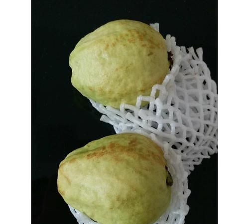 番石榴里面软了是坏了吗