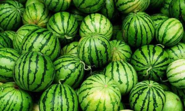 西瓜皮汤怎么做好喝,西瓜皮绿豆汤的做法窍门图14