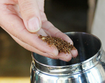 咖啡豆磨成粉后能直冲,咖啡粉怎么冲泡好喝图4