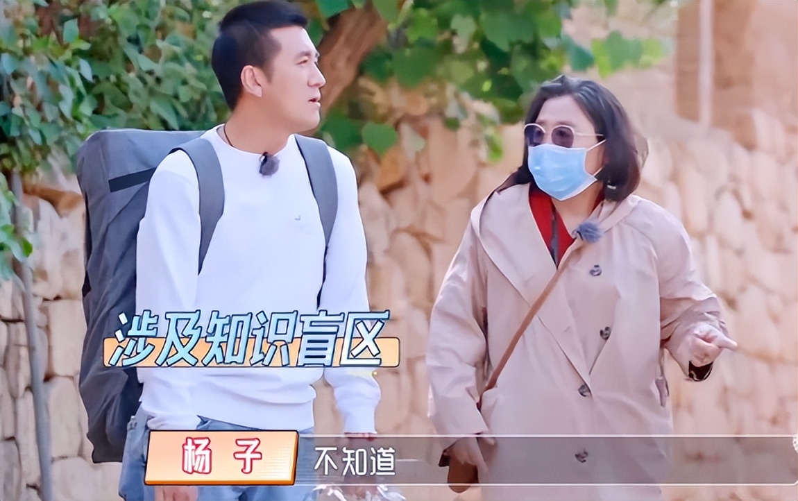 杨子身价过亿，直播起来却比尖叫鸡都卖力