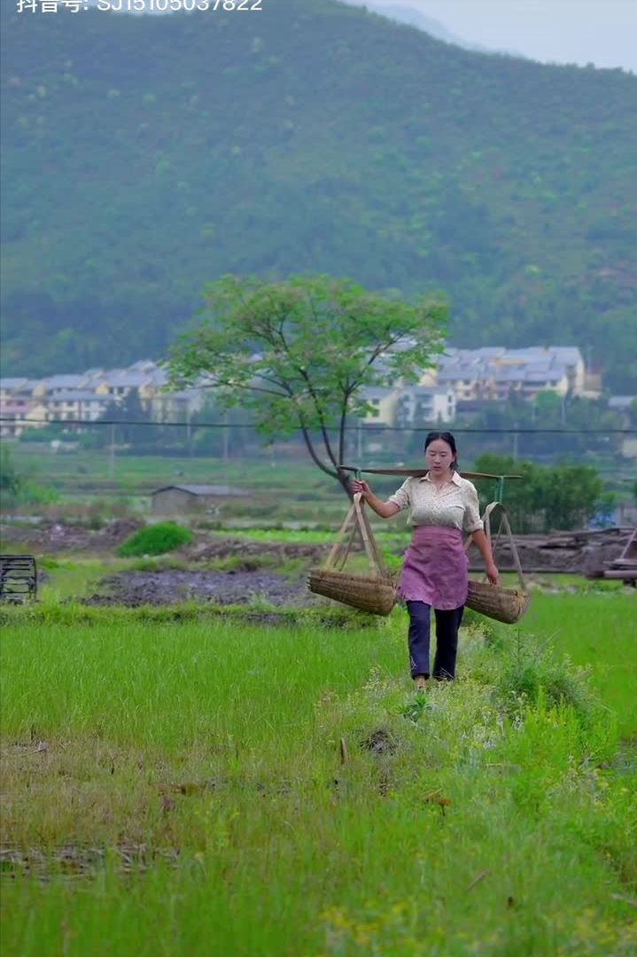 乡愁沈丹：从离异负债到带全村人致富，单亲妈妈如何完成蜕变？