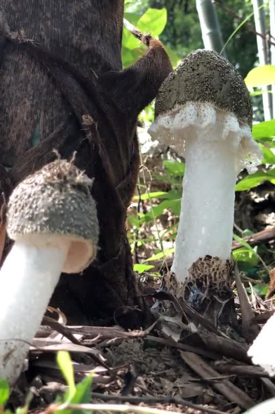 乡愁沈丹：从离异负债到带全村人致富，单亲妈妈如何完成蜕变？