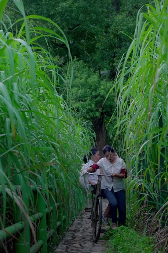 乡愁沈丹：从离异负债到带全村人致富，单亲妈妈如何完成蜕变？