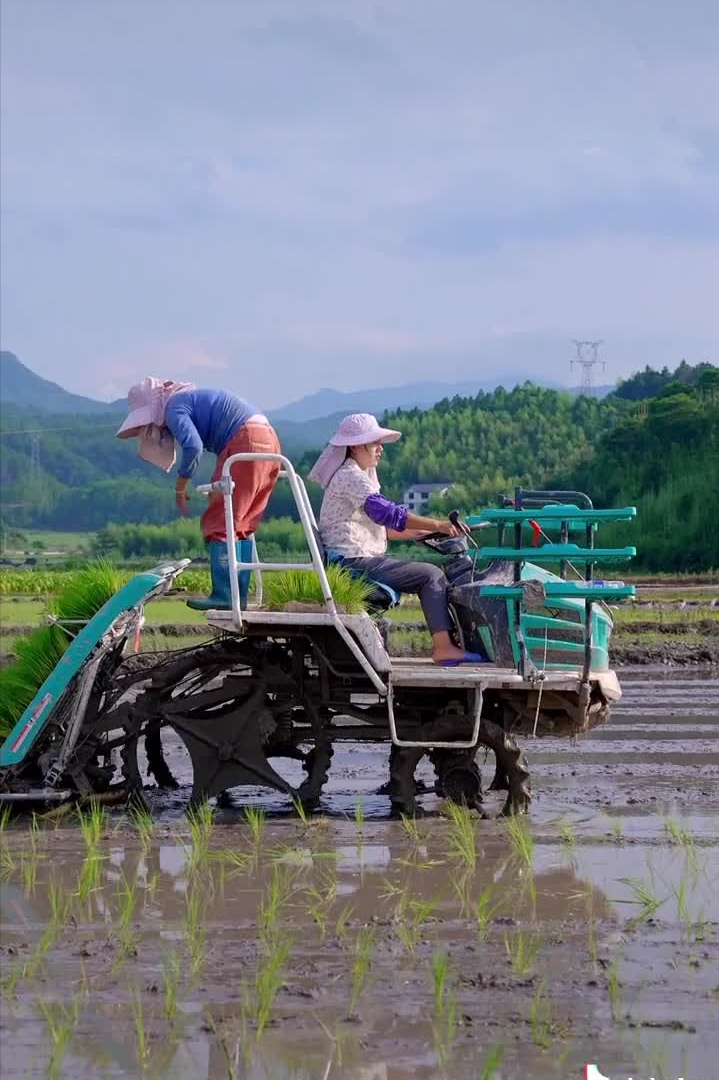 乡愁沈丹：从离异负债到带全村人致富，单亲妈妈如何完成蜕变？