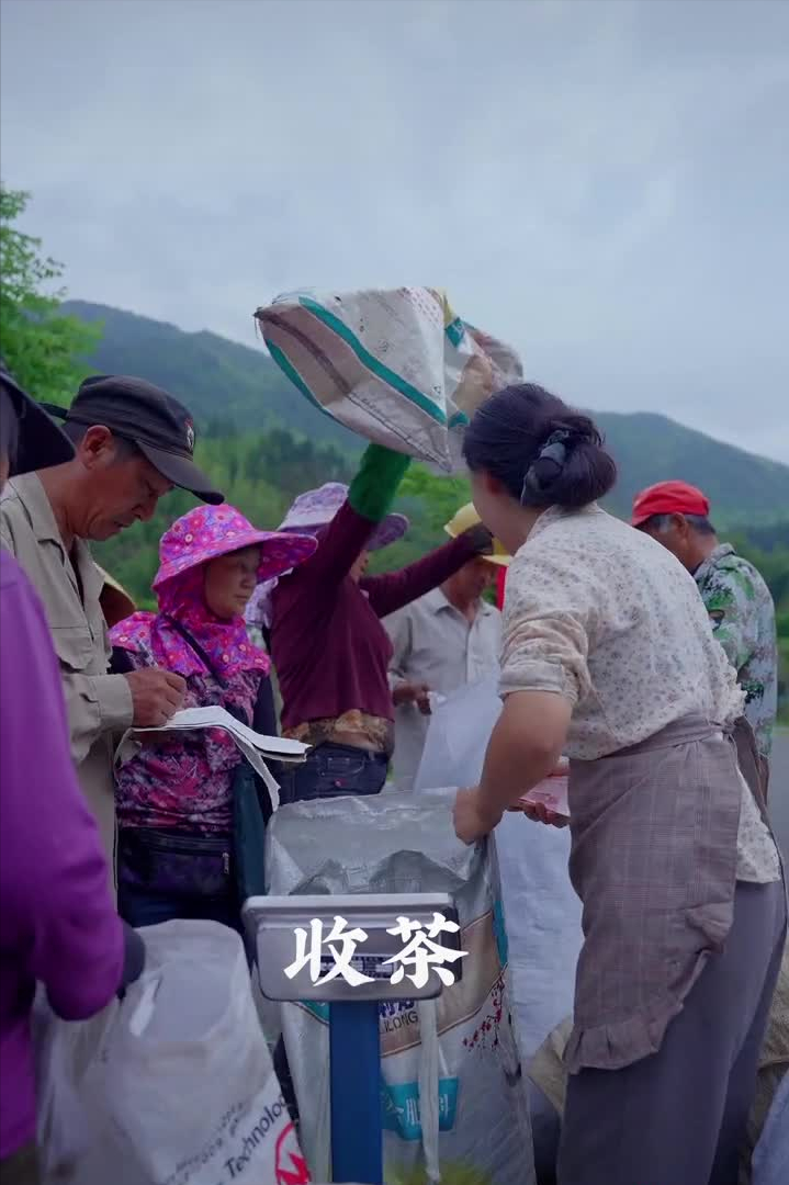 乡愁沈丹：从离异负债到带全村人致富，单亲妈妈如何完成蜕变？