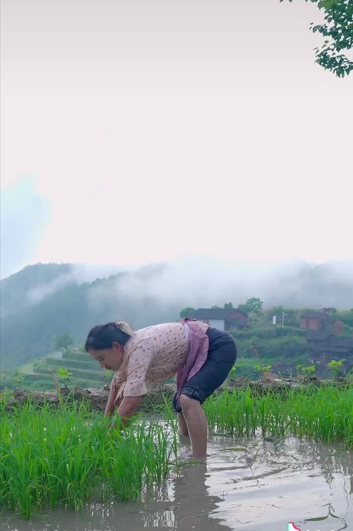 乡愁沈丹：从离异负债到带全村人致富，单亲妈妈如何完成蜕变？