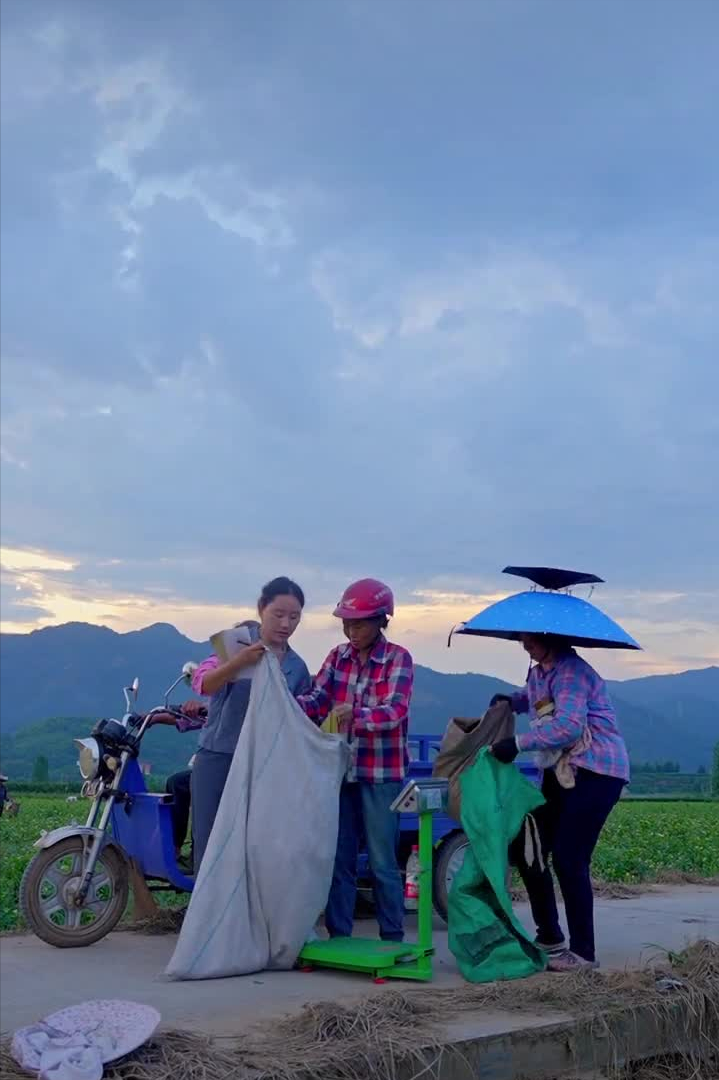 乡愁沈丹：从离异负债到带全村人致富，单亲妈妈如何完成蜕变？