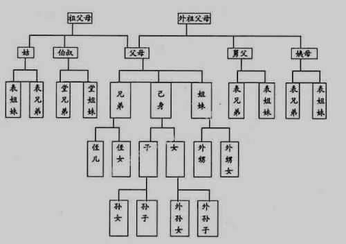 中国亲戚关系图表大全(亲戚关系大全 图表)-第1张图片-