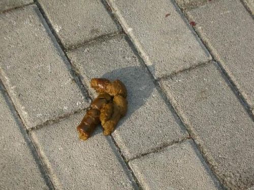 杨舒平父母(昆明杨舒平父母照片)-第3张图片-