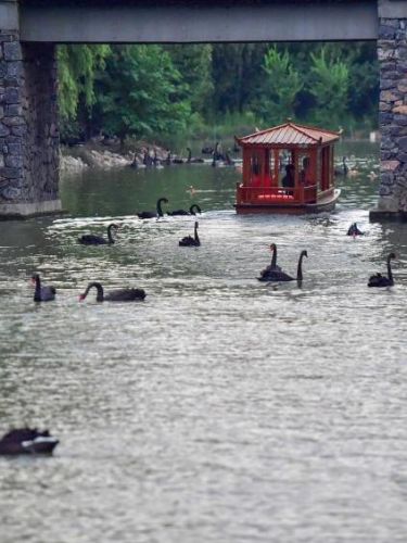 涓€澶╀竴鏃ユ父鍘诲摢閲屾渶濂藉厤璐?瑗垮畨涓€澶╀竴鏃ユ父鍘诲摢閲屾渶濂?-绗?寮犲浘鐗?