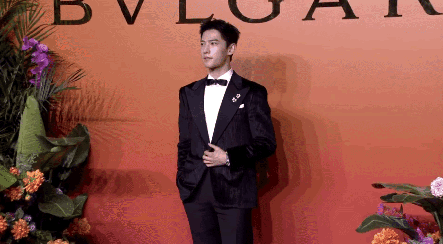 宝格丽红毯：赵露思性感，被佟丽娅美到，舒淇更惊艳让人移不开眼