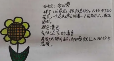 牡丹植物记录卡怎么写,关于我的植物朋友的记录卡怎么做