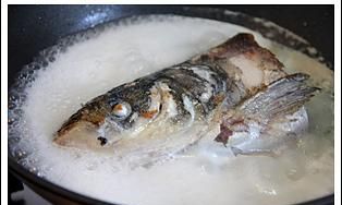 鱼头里面的石头叫什么