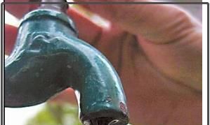 最有效灭蟑螂的方法,家庭消灭蟑螂的6种简单可行的方法?图6