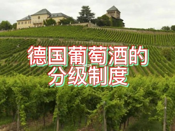 德国葡萄酒产量