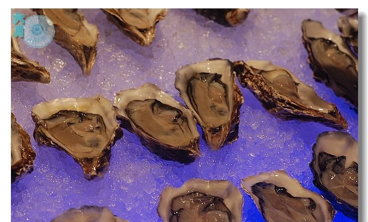 四海一家是指什么动物