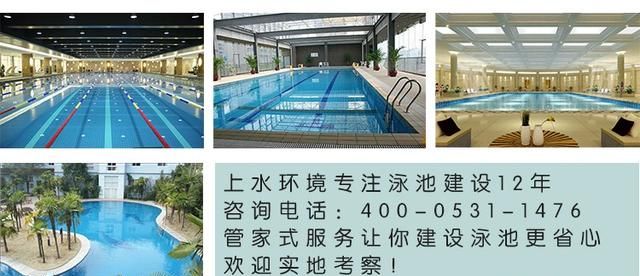 半标游泳池多大,半国标泳池多长多宽?图3