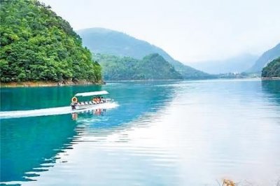 湖水耀金指什么生肖动物(湖水耀金指什么动物)