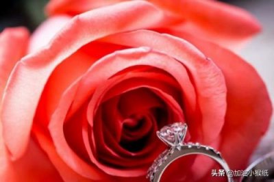 ​99朵玫瑰代表什么意思(11 19 33 99朵玫瑰代表什么)