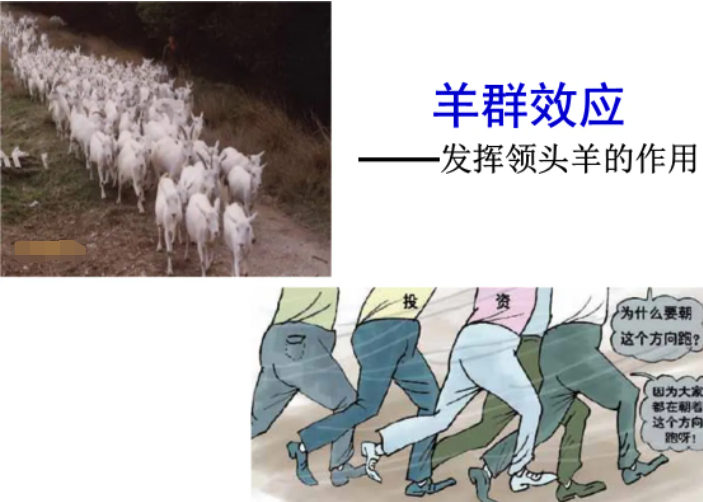 翟鸿燊简介大全(光用嘴说话一年就能赚几百万,他是谁,究竟有何魅力?)