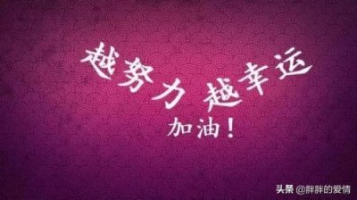 励志文章大全500字(心灵鸡汤1000字励志文章大全)