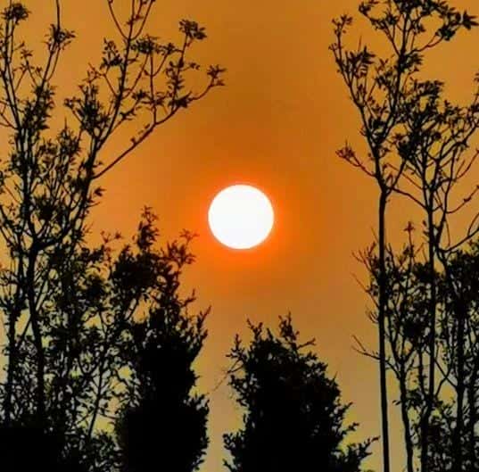 歌词窗外明月光映照我脸庞是哪首歌(窗外明月光映照我脸庞是什么歌名)