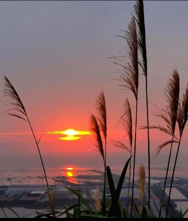 歌词窗外明月光映照我脸庞是哪首歌(窗外明月光映照我脸庞是什么歌名)