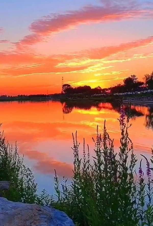 歌词窗外明月光映照我脸庞是哪首歌(窗外明月光映照我脸庞是什么歌名)