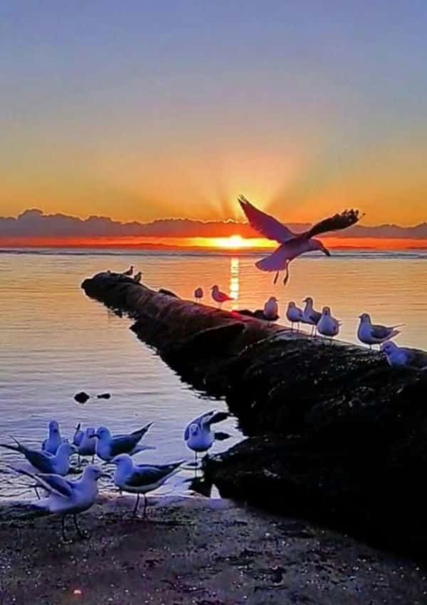 歌词窗外明月光映照我脸庞是哪首歌(窗外明月光映照我脸庞是什么歌名)