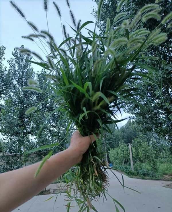 歌词窗外明月光映照我脸庞是哪首歌(窗外明月光映照我脸庞是什么歌名)