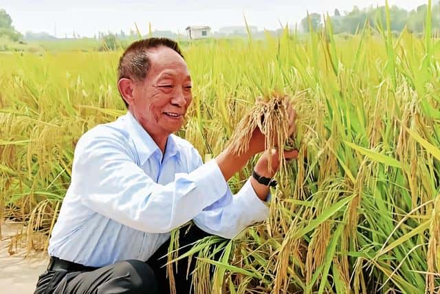 新中国十大科学家,每一位都是无双国士,贡献巨大(中国十大伟大科学家名单)