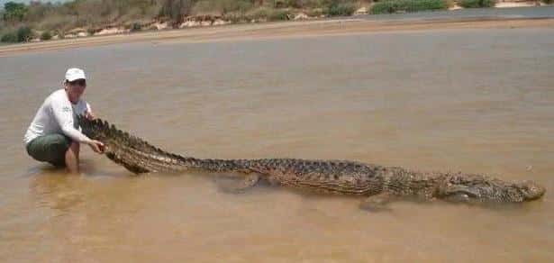 亚马逊雨林的恐怖之处(亚马逊丛林有多恐怖)
