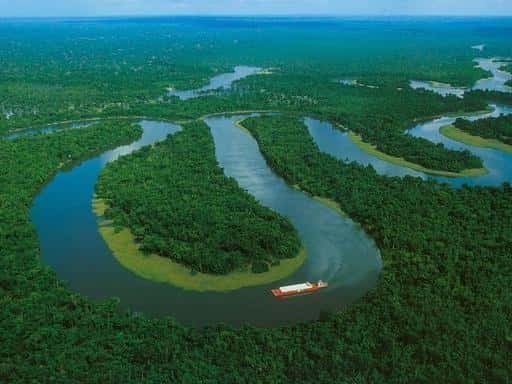 亚马逊雨林的恐怖之处(亚马逊丛林有多恐怖)