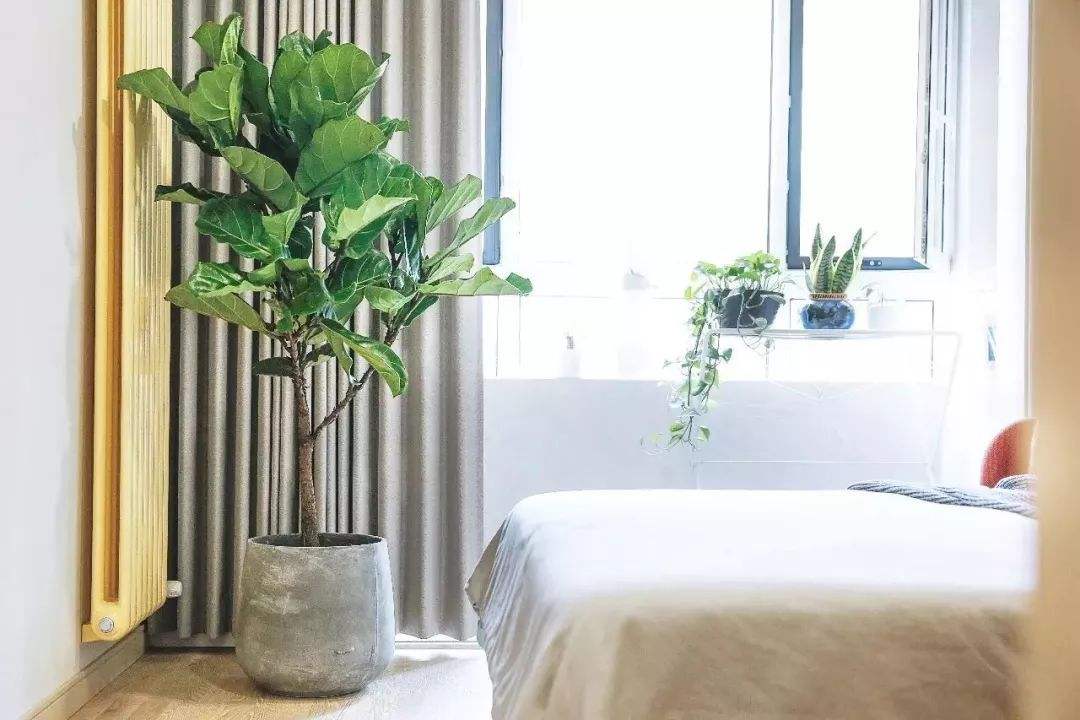 床头摆放镜子有什么不好-(家中镜子对床位有什么影响)