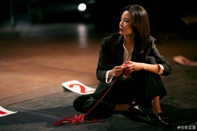 辛芷蕾的个人经历(辛芷蕾个人资料及经历介绍)