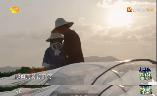 张子枫是bg之光吧!合作吴磊彭昱畅梁靖康荣梓杉,每组CP都好配