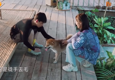 张子枫是bg之光吧!合作吴磊彭昱畅梁靖康荣梓杉,每组CP都好配