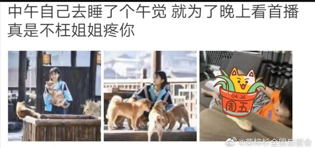 张子枫是bg之光吧!合作吴磊彭昱畅梁靖康荣梓杉,每组CP都好配