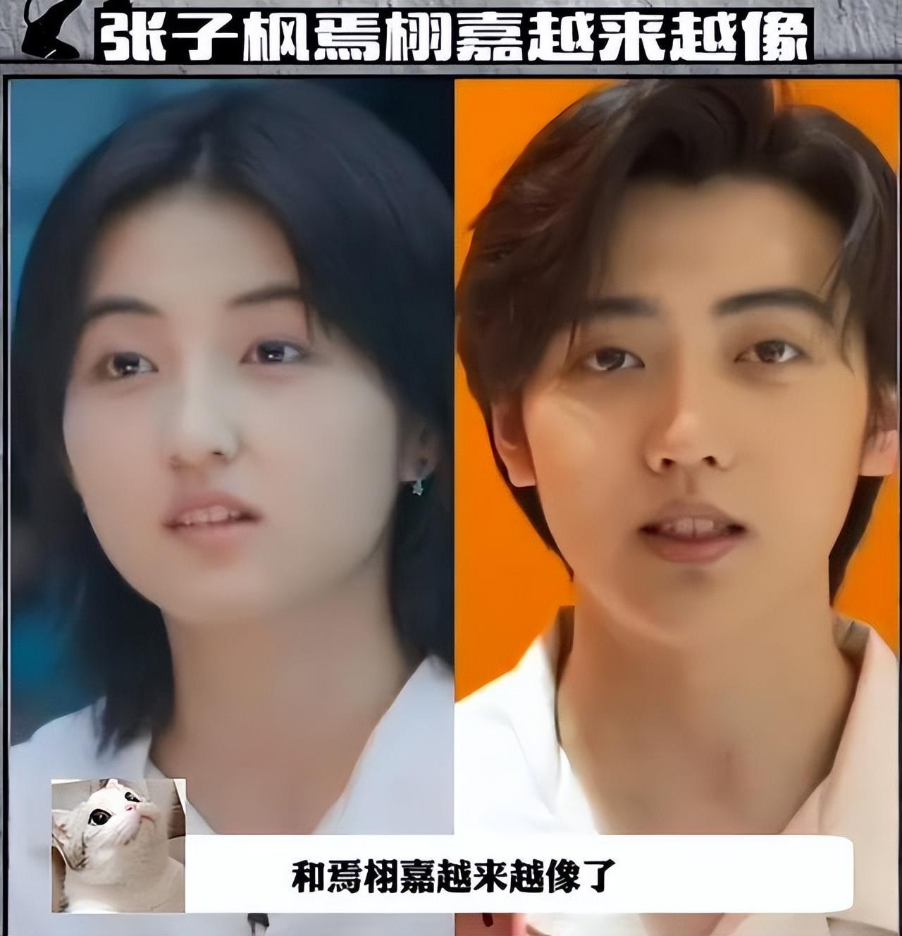 张子枫,你醒醒吧