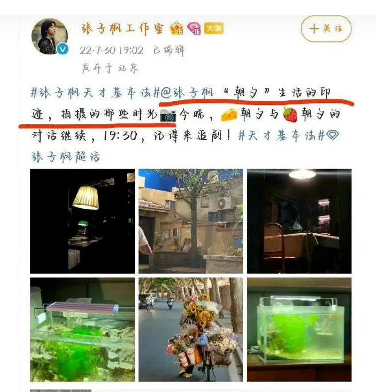 张子枫,你醒醒吧